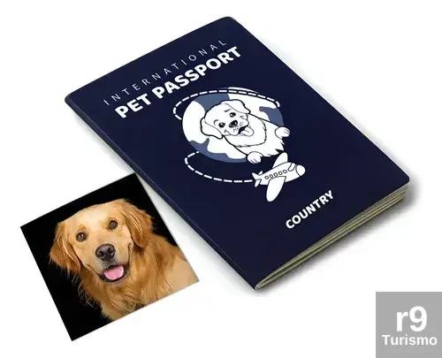 Cães e Gatos: Vão ganhar Passaporte Internacional
