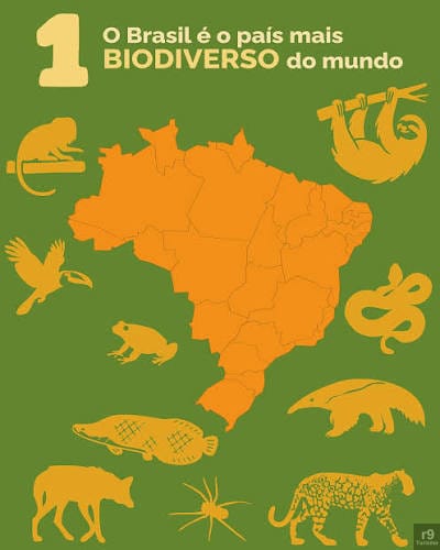Biodiversidade e Mata Atlântica: o Brasil está Honrando o Título de País Mais Biodiverso do Mundo?