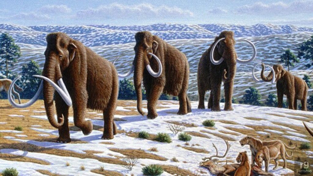 Pré-História: Análise do DNA Revela Adaptação que Permitiu a Sobrevivência dos Mamutes no Gelo
