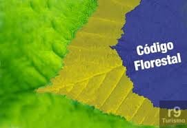 Impactos do Código Florestal são analisados em evento Biota FAPESP