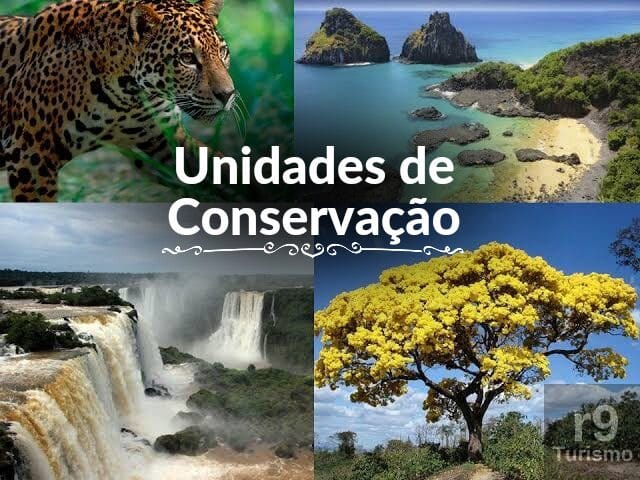 Pensando Ecoturismo: Unidades de Conservação e Desenvolvimento Turístico