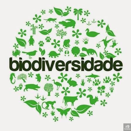 Secretaria do Meio Ambiente de Santos SP Organiza Exposição de Fotos sobre Biodiversidade