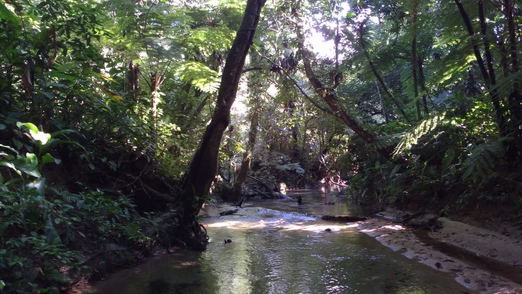 La senda de “Cabucú”, situada en el área continental de Santos, (San Pablo).