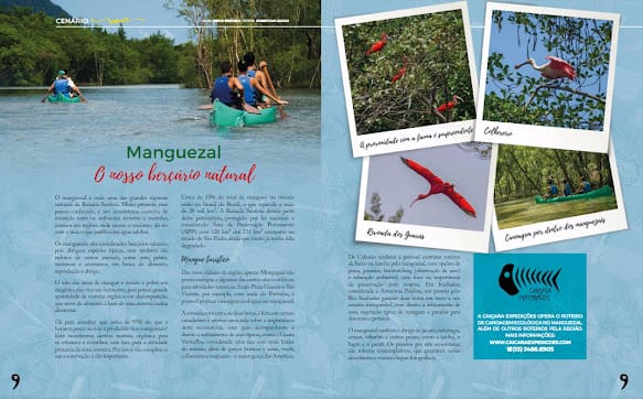 Revista 9 Cidades: Manguezal o nosso Berçário Natural