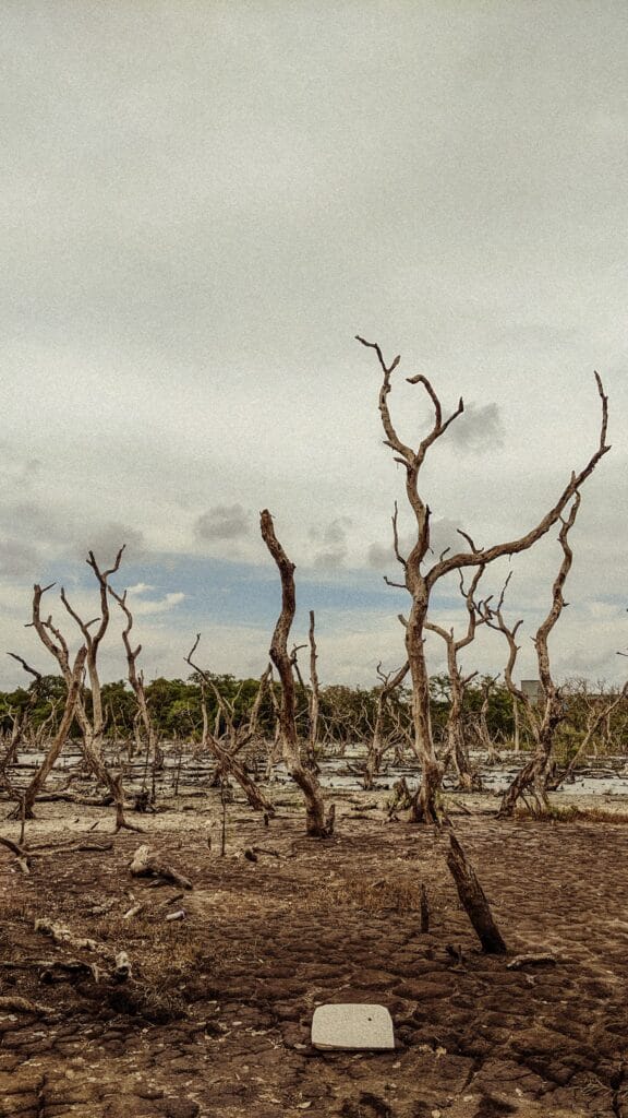 NJA faz ação para 100 dias da Conferência do Clima em Copenhague CoP15