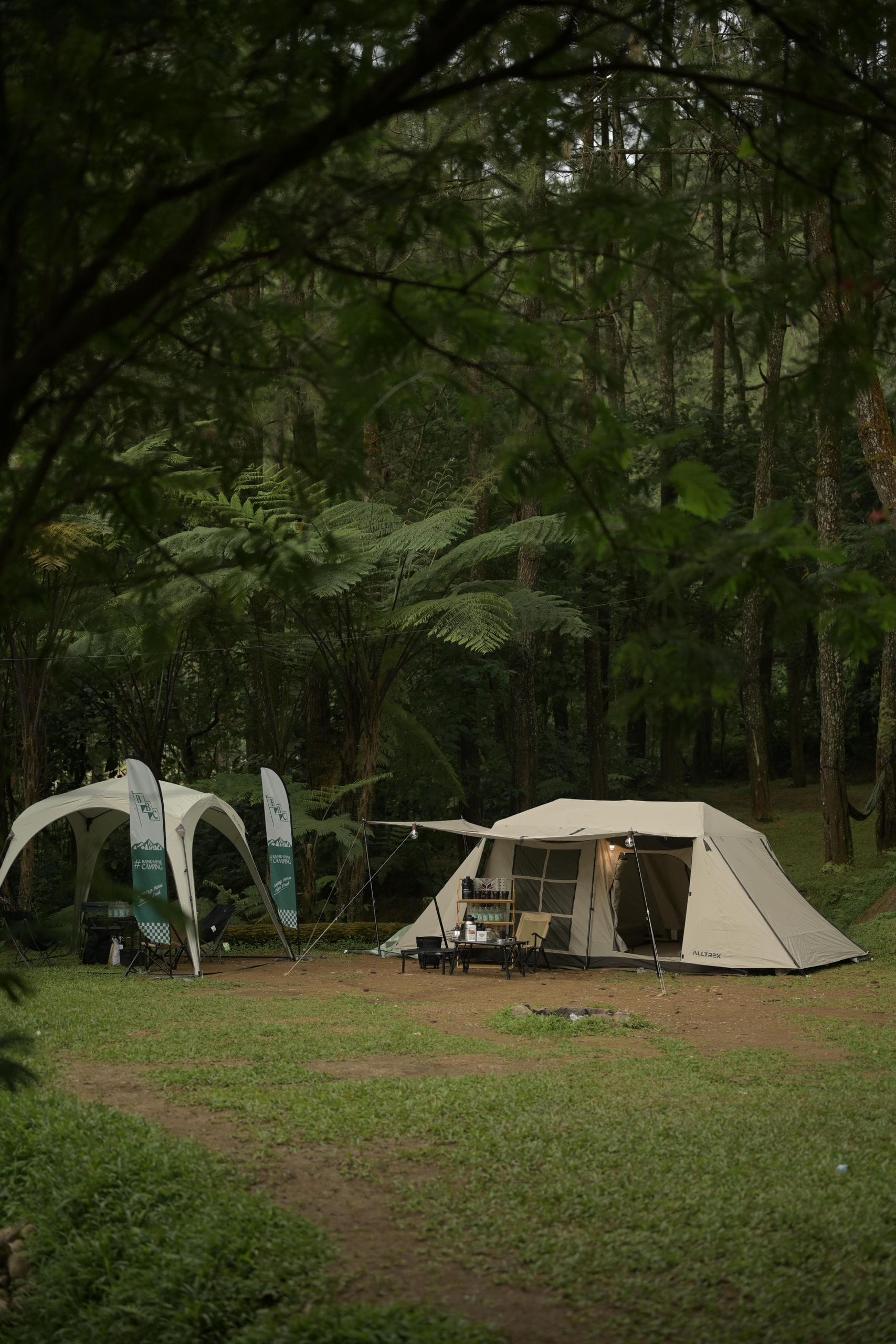 Cozy tent nestled in lush West Java forest, perfect for outdoor adventure.